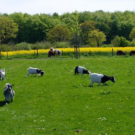 Ferienwohnungen Auf Dem Ferienhof Sell 斯托特布尔 外观 照片